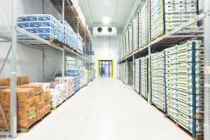 Read more about the article Kontraktor Cold Storage  – Solusi Penyimpanan Dingin Terpadu