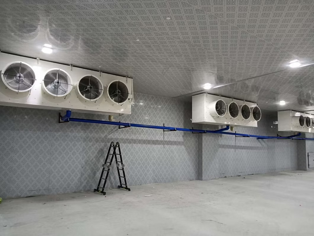 You are currently viewing Jasa Instalasi Cold Storage – PT Sarana Sentra Sinergi