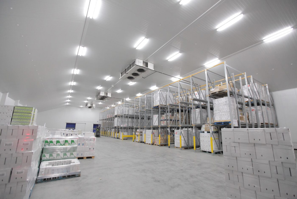 Read more about the article AC Cold Storage Tangerang : Jantung Industri dan Logistik Modern
