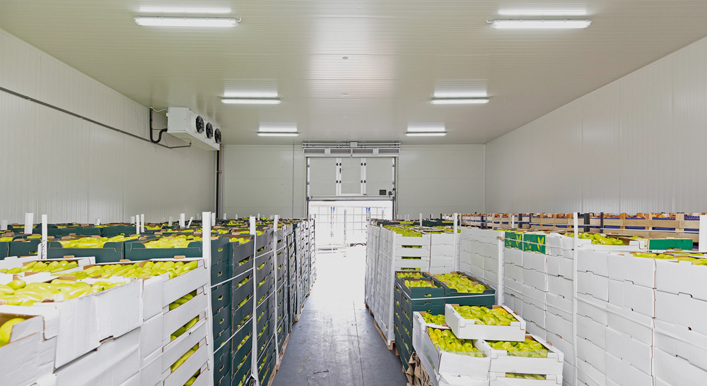 Read more about the article AC Cold Storage Murah