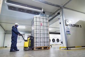 Read more about the article Kontraktor Cold Storage Jakarta