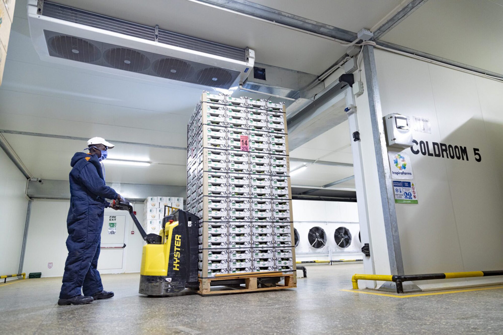Read more about the article Kontraktor Cold Storage Jakarta