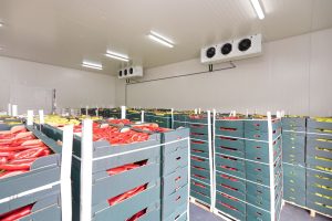 Read more about the article AC Cold Storage Tangerang